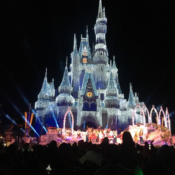 Meet your Posher, Cecilia - Picture 1 of 1